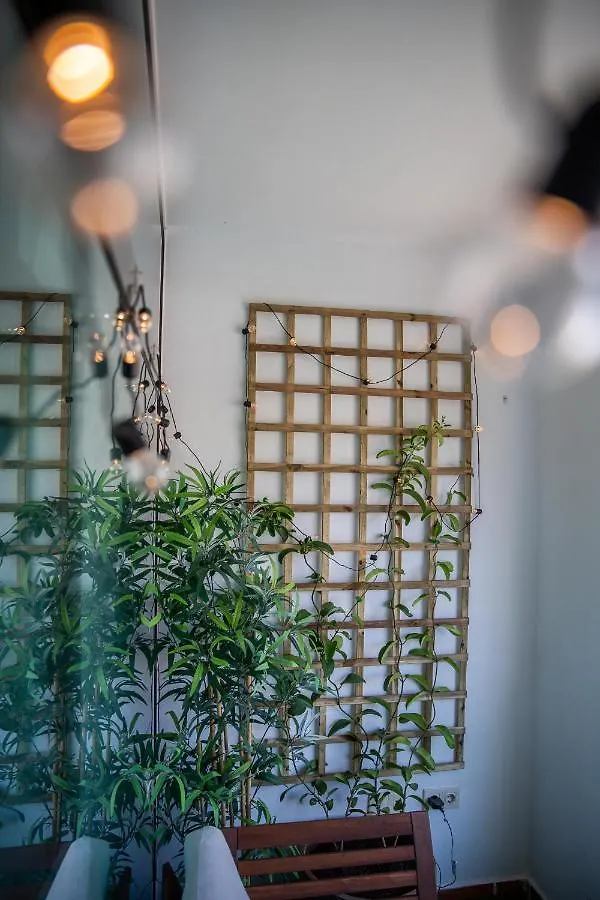 Chada Morro Jable Apartment